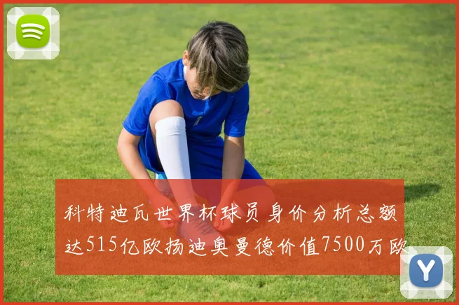 科特迪瓦世界杯球员身价分析总额达515亿欧扬迪奥曼德价值7500万欧