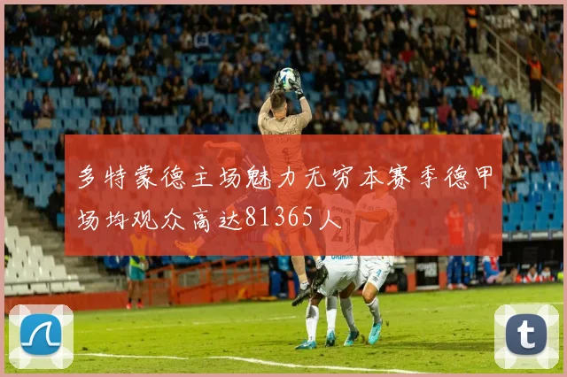多特蒙德主场魅力无穷本赛季德甲场均观众高达81365人